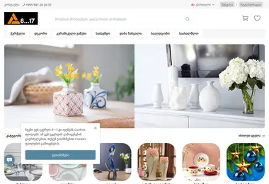 Screenshot of 8-17.ge