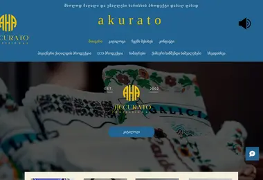 Screenshot of accurato.ge
