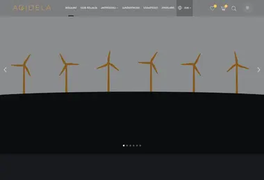 Screenshot of agidela.ge
