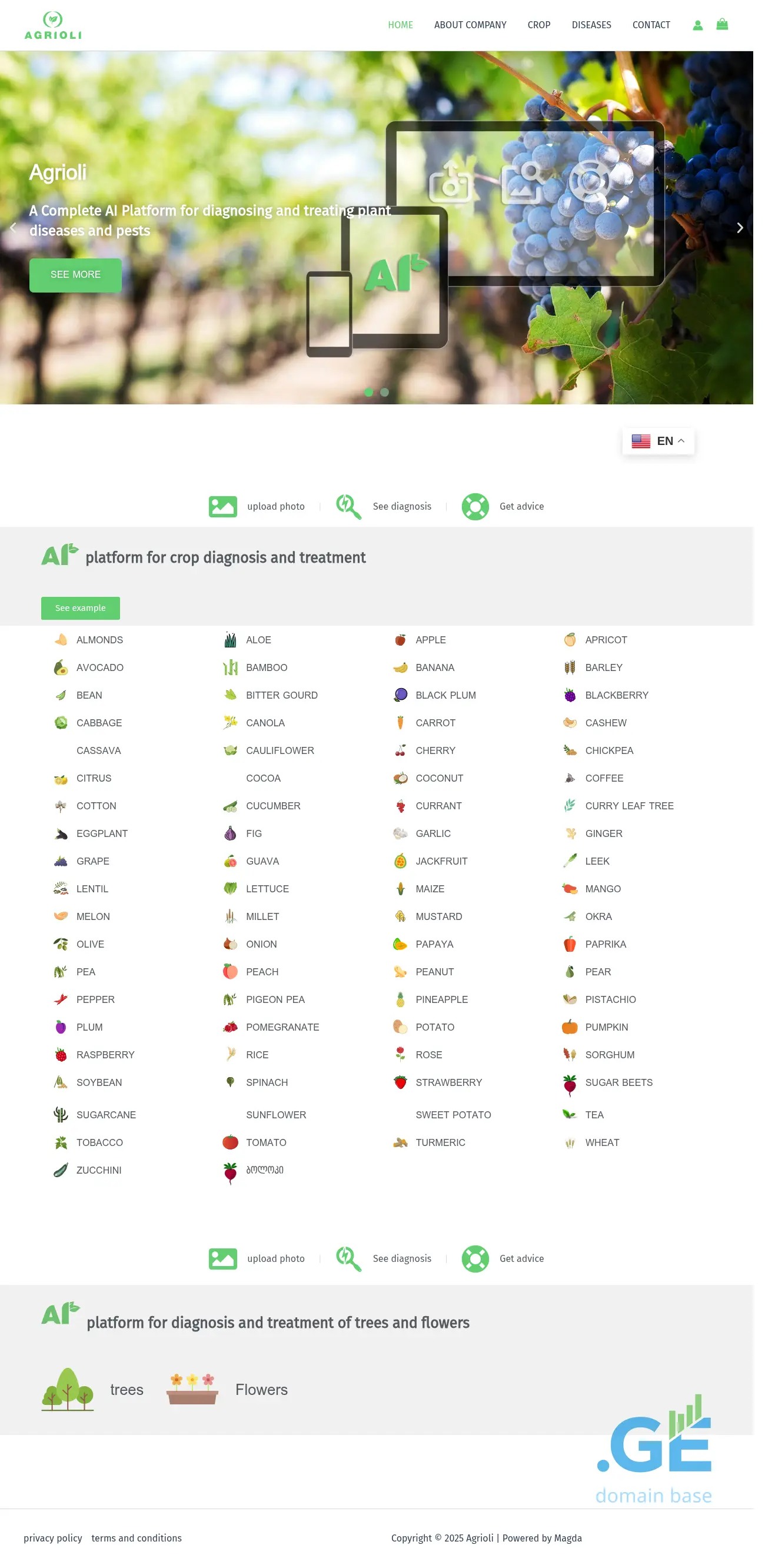 Screenshot of the site agrioli.ge