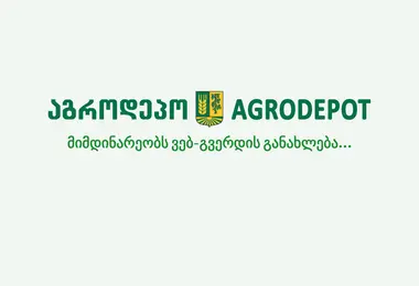 Screenshot of agrodepot.ge