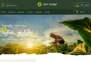 Screenshot of agroeffect.ge