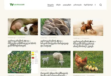 Screenshot of agrogaremo.ge