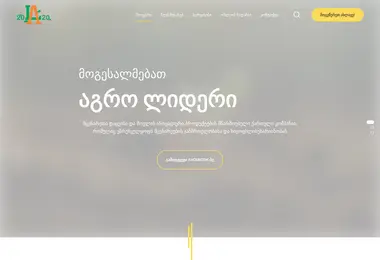 Screenshot of agroleader.ge