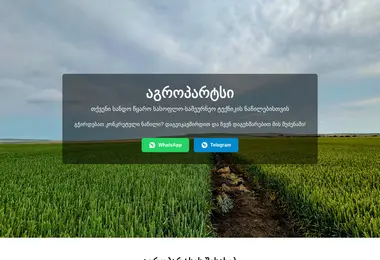 Screenshot of agroparts.ge