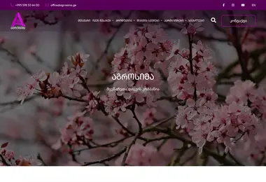 Screenshot of agrosima.ge