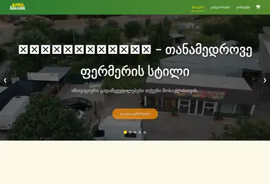 Screenshot of agrosisstems.ge