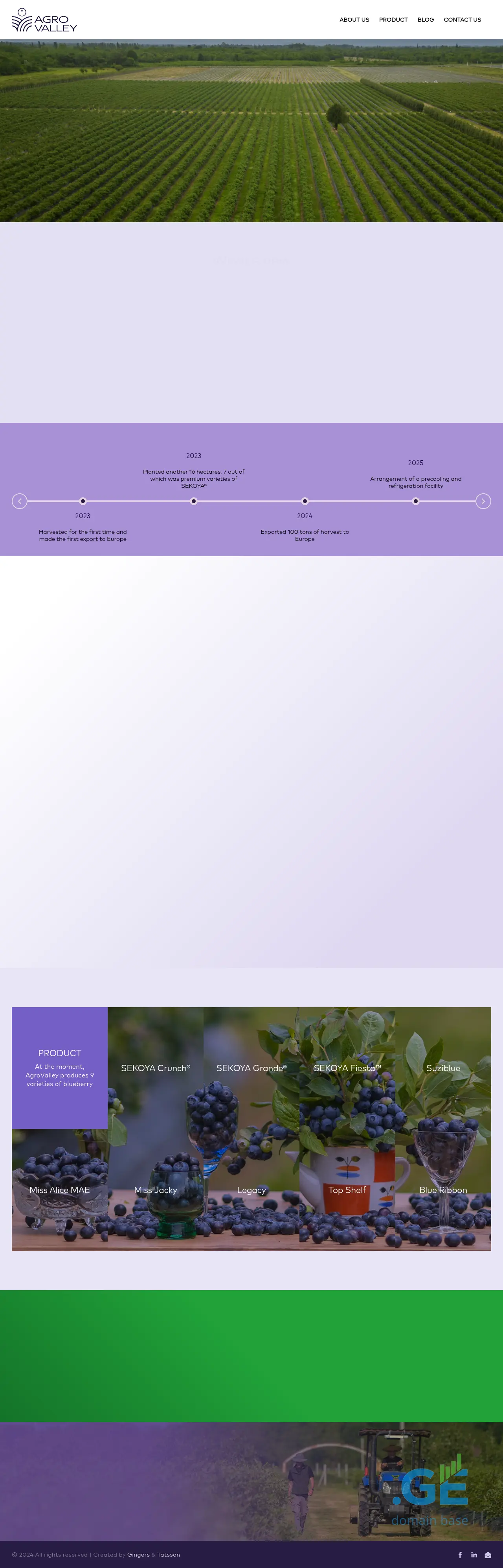 Screenshot of the site agrovalley.ge