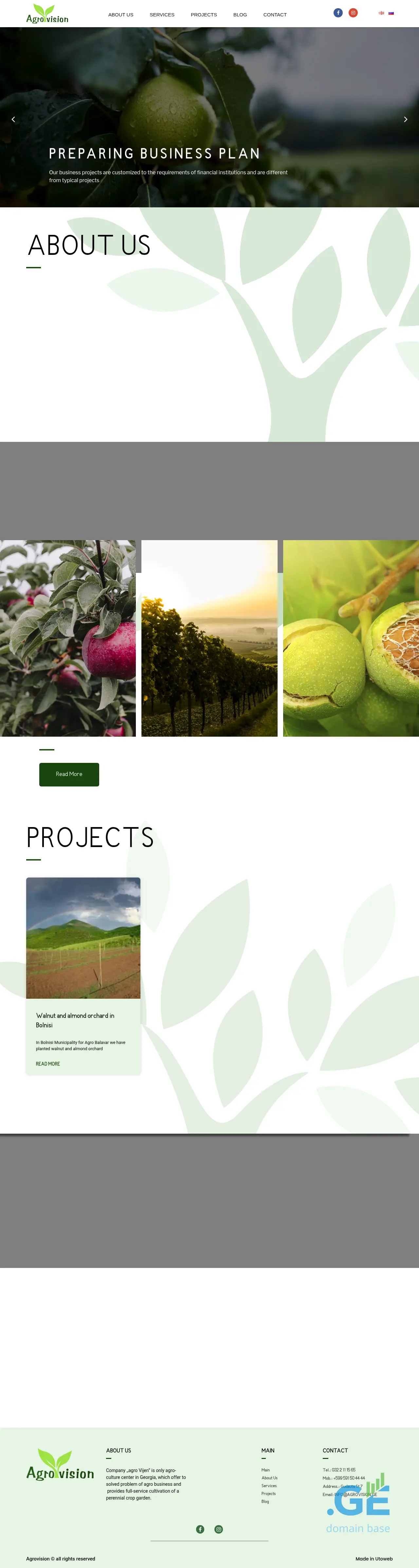 Screenshot of the site agrovision.ge