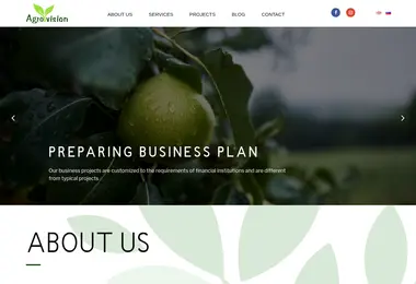 Screenshot of agrovision.ge
