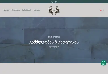 Screenshot of akakico.ge
