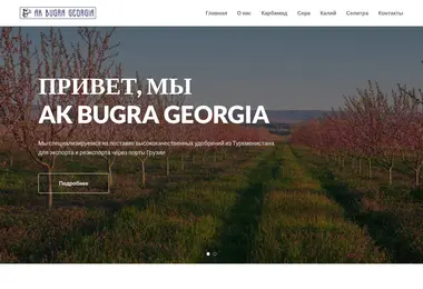 Screenshot of akbugra.ge