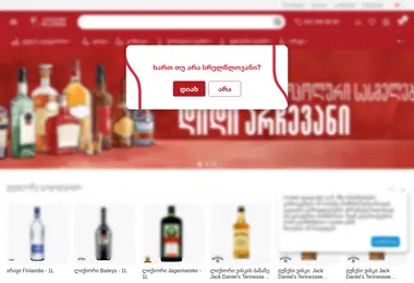 Screenshot of alcorium-store.ge