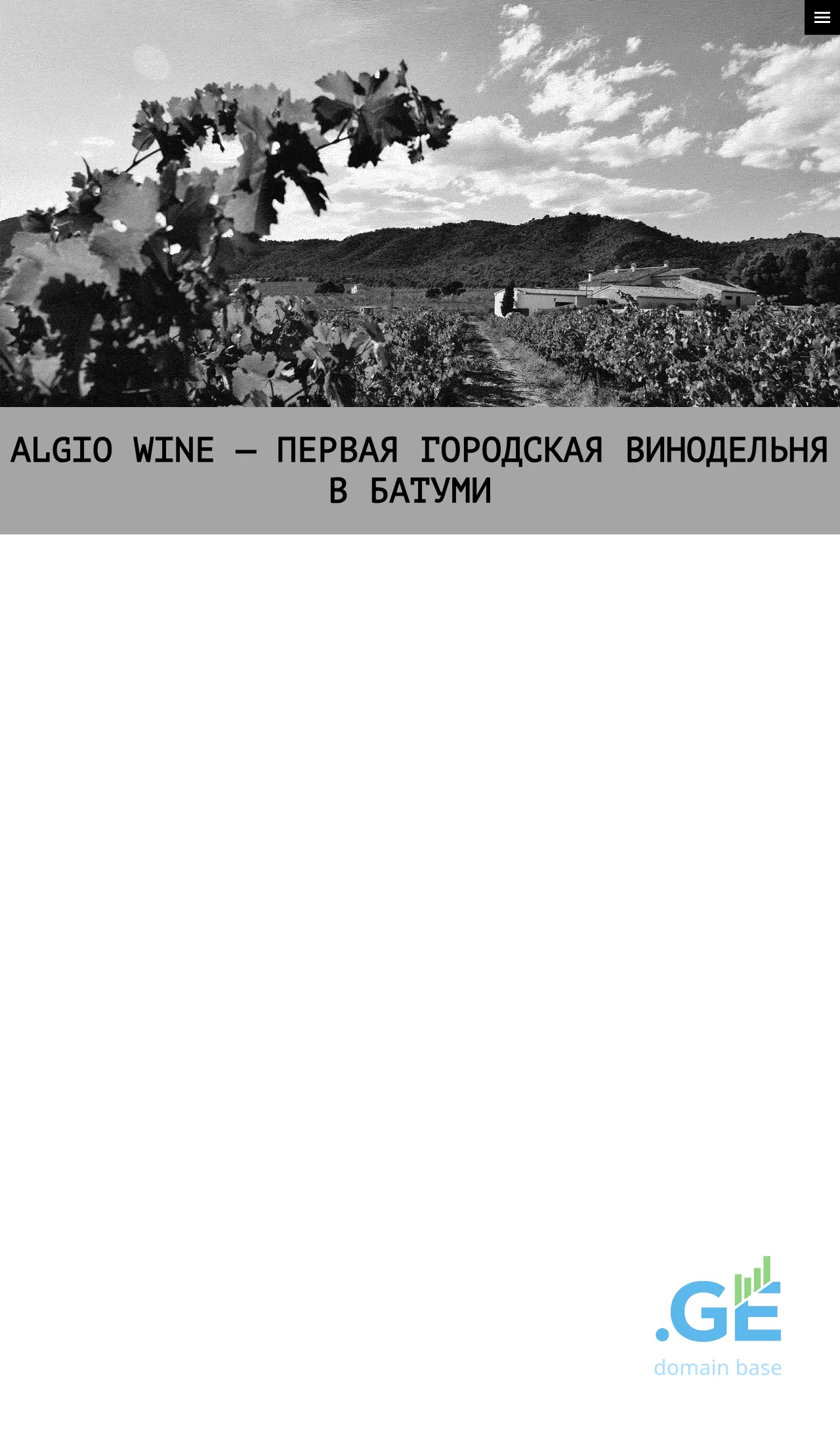 Screenshot of the site algiowine.ge