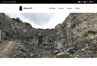 Screenshot of alicon.ge