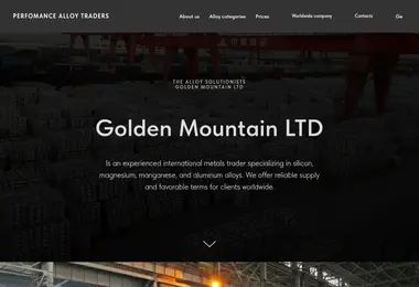 Screenshot of alloysolutions.ge