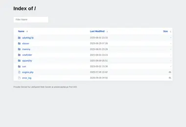 Screenshot of ambercapital.ge