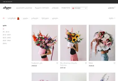 Screenshot of amelie.ge