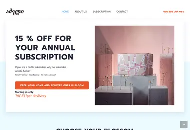 Screenshot of ameliehome.ge