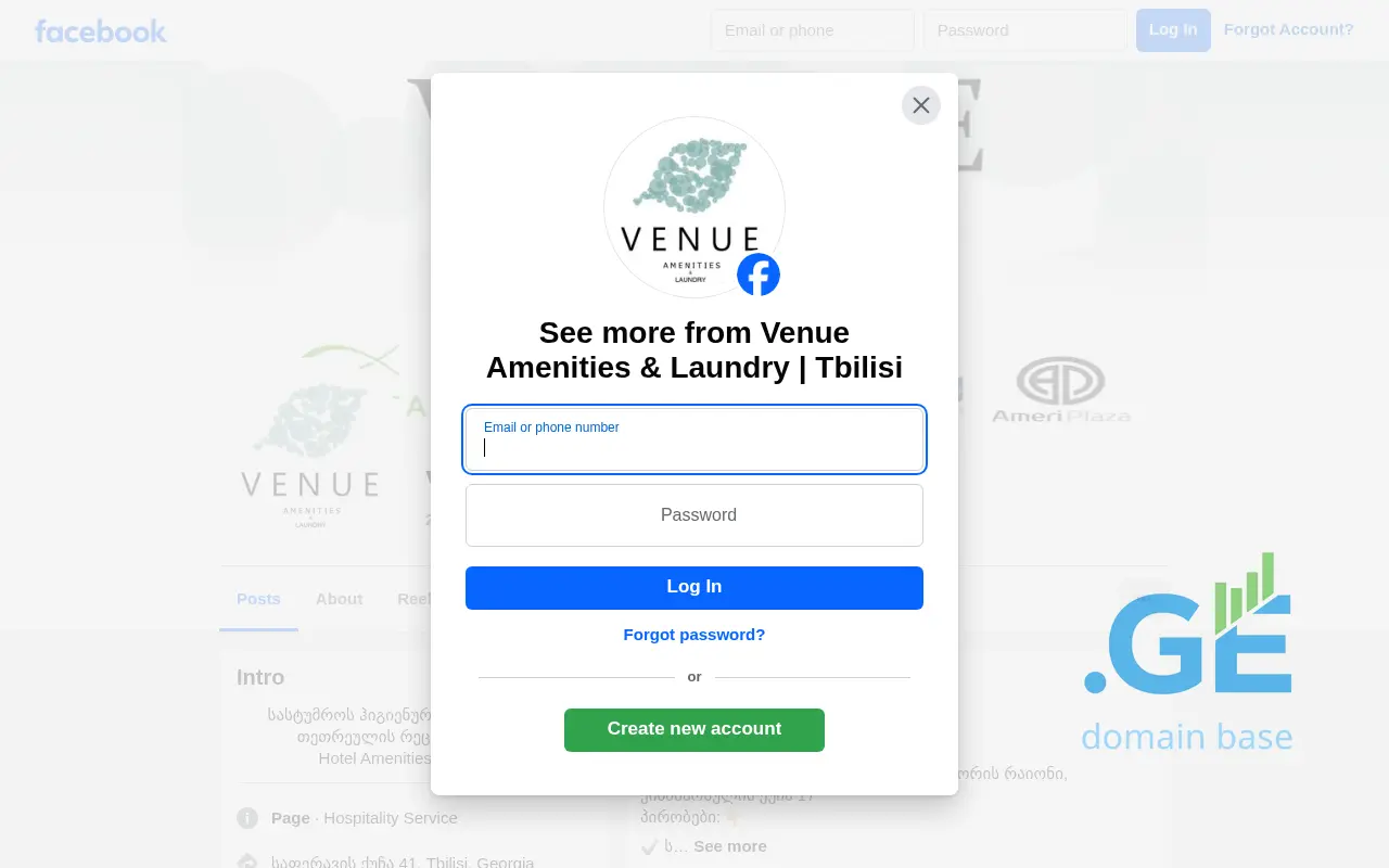 Screenshot of the site amenity.ge