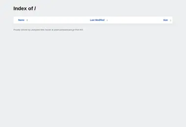 Screenshot of americanhealthcare.ge