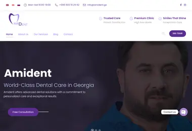 Screenshot of amident.ge