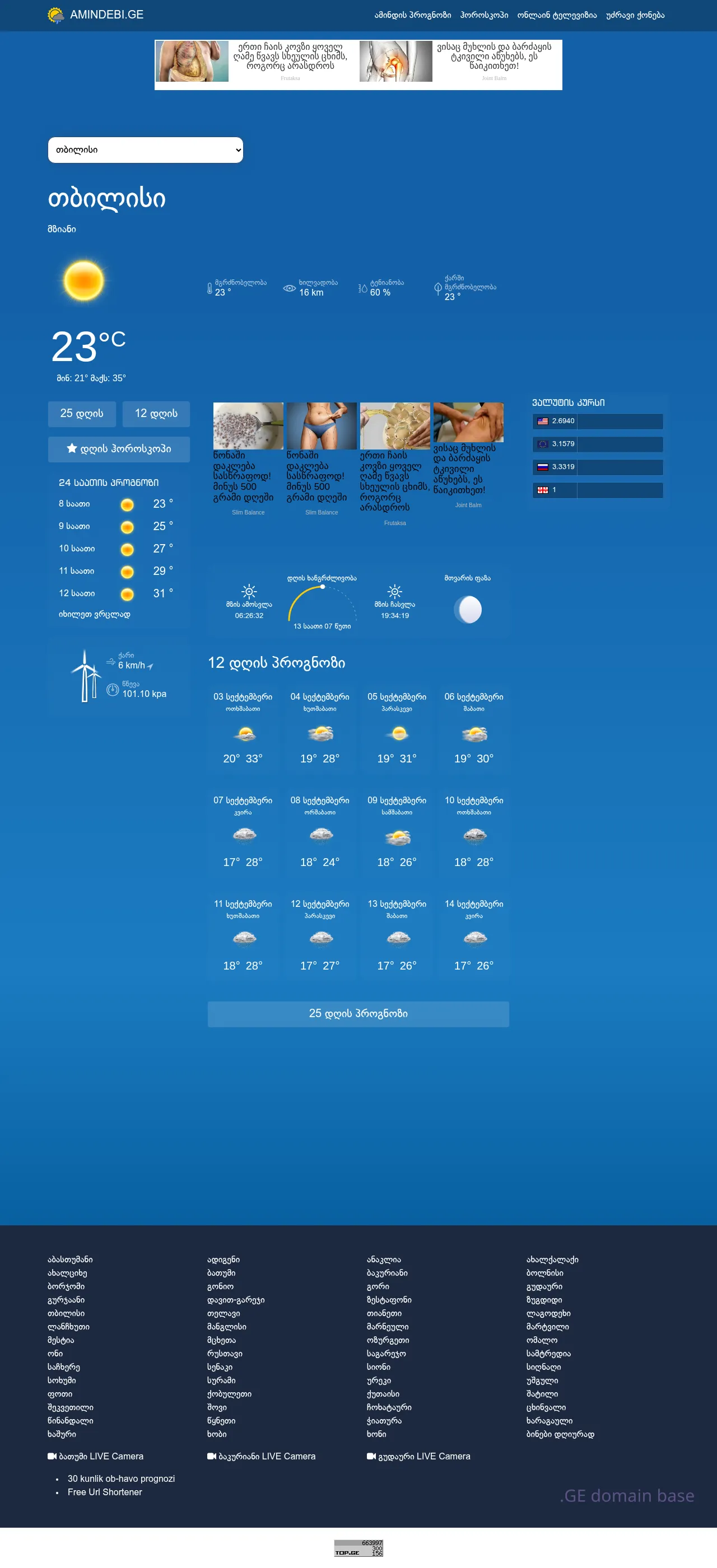 Screenshot of the site amindebi.ge