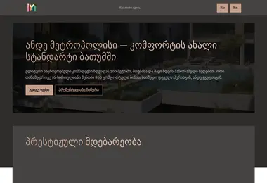 Screenshot of andemetropolis.ge