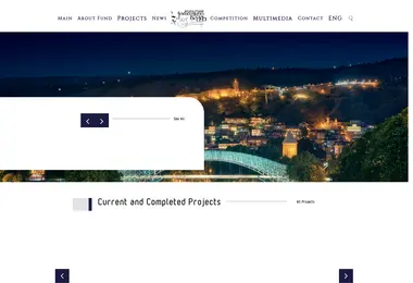 Screenshot of andriadzefoundation.ge