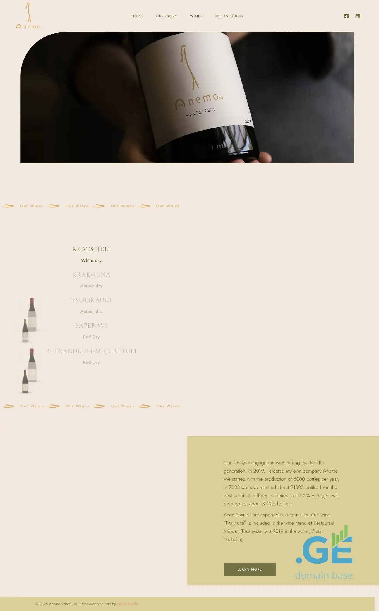 Screenshot of the site anemo.ge