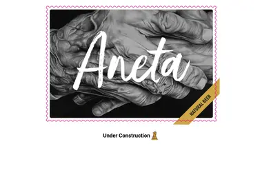 Screenshot of aneta.ge