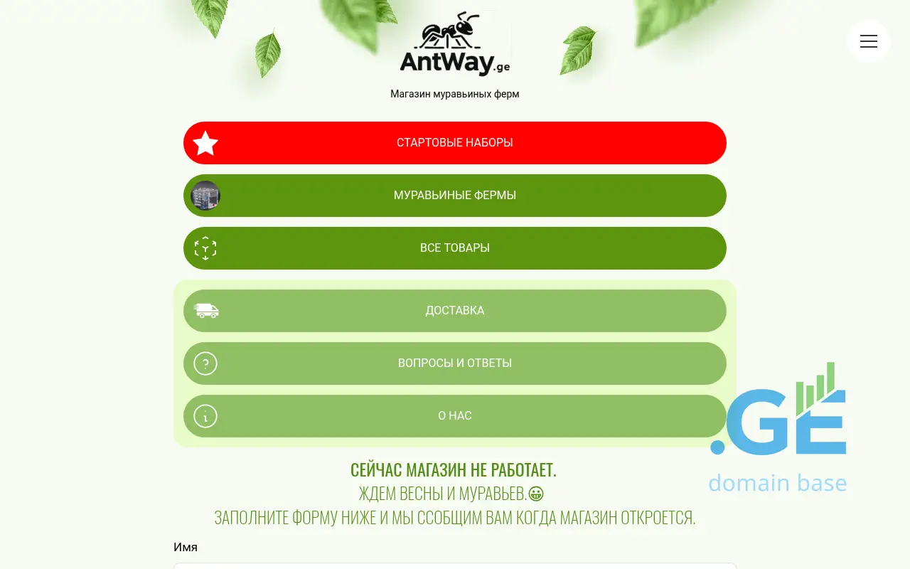 Screenshot of the site antway.ge