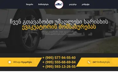 Screenshot of apgeorgia.ge