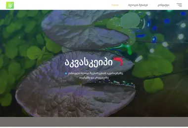 Screenshot of aquascape.ge