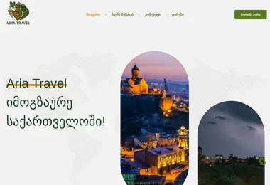 Screenshot of ariatravel.ge