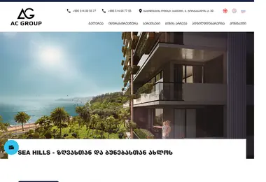 Screenshot of arsigroup.ge