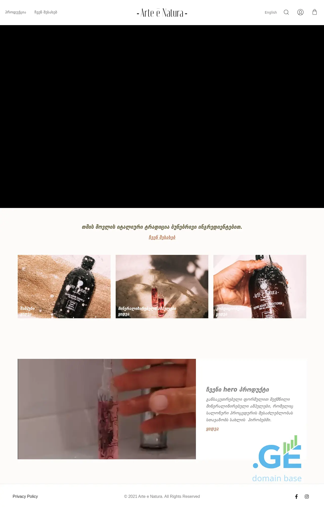 Screenshot of the site arteenatura.ge