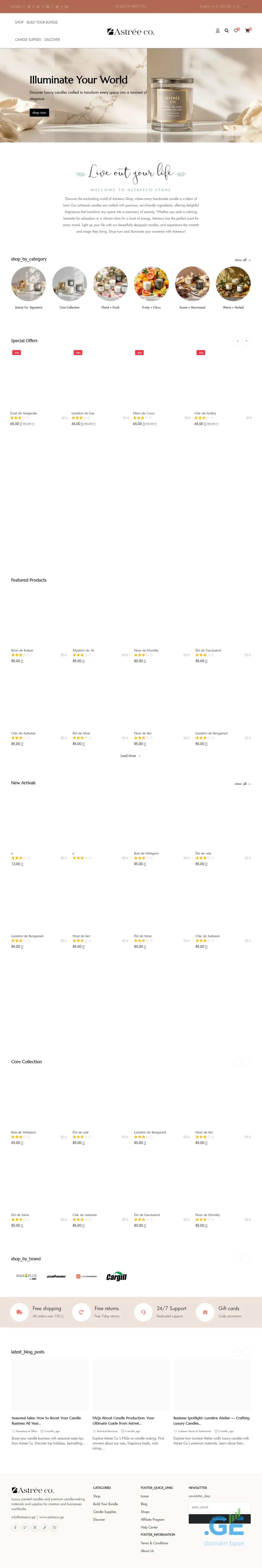 Screenshot of the site astreeco.ge