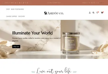 Screenshot of astreeco.ge