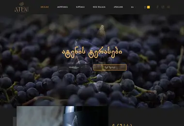 Screenshot of ateni.ge