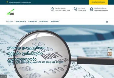 Screenshot of auditiltd.ge
