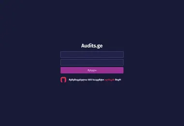 Screenshot of audits.ge
