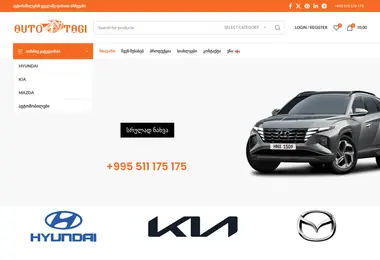 Screenshot of autotagi.ge