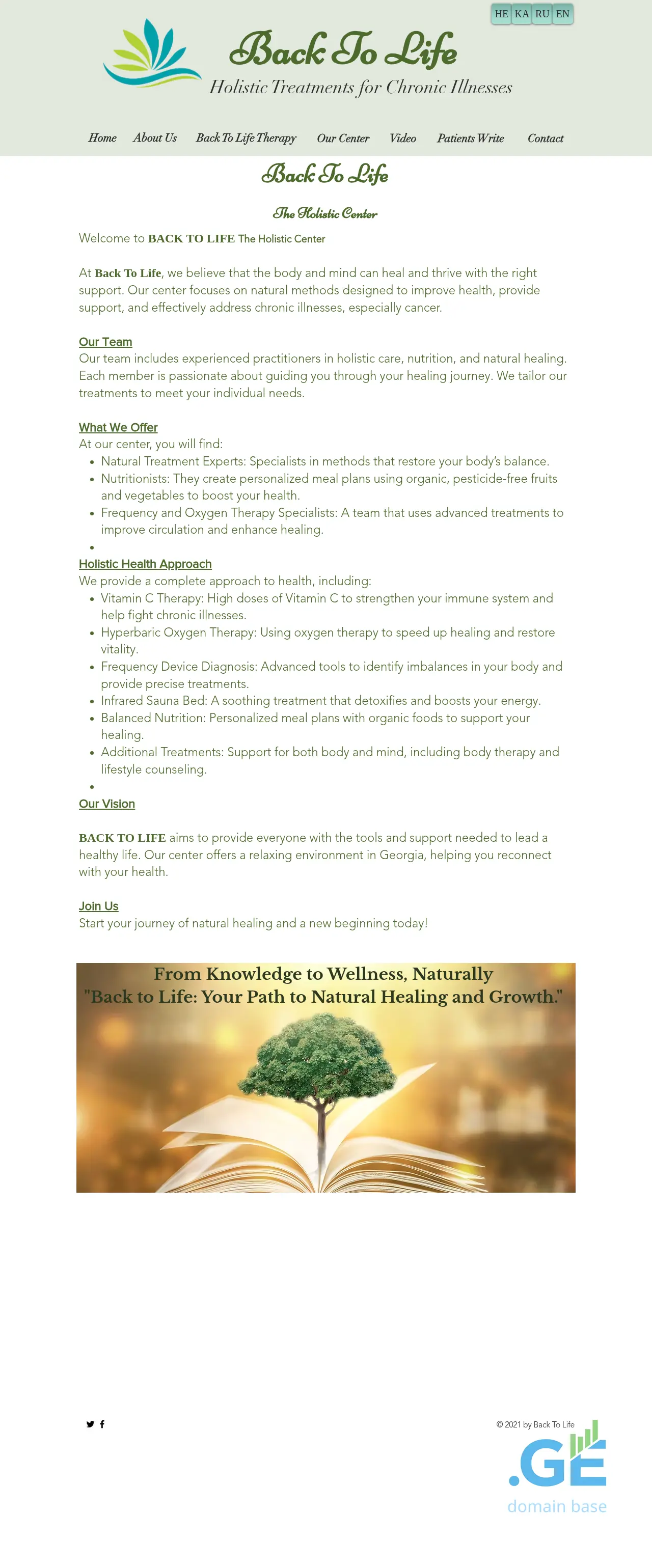Screenshot of the site backtolife.ge