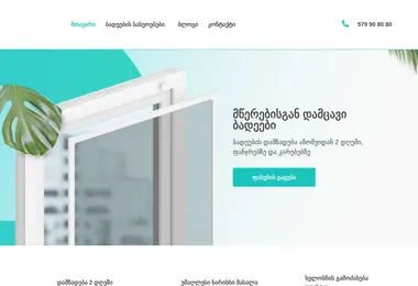 Screenshot of badeebi.ge