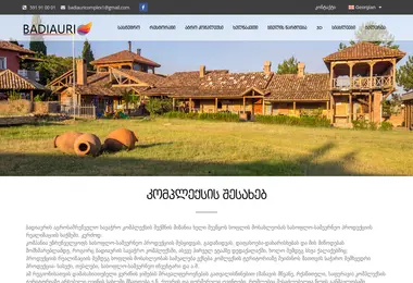 Screenshot of badiauri.ge