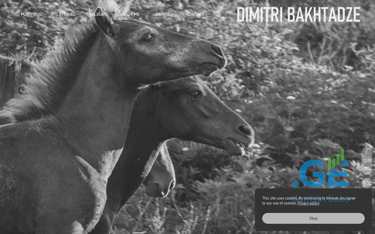 Screenshot of the site bahva.ge