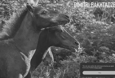 Screenshot of bahva.ge