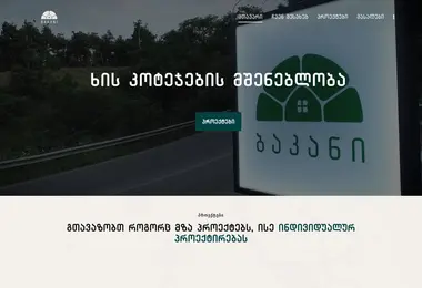 Screenshot of bakani.ge