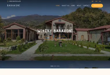 Screenshot of barakoniwinery.ge